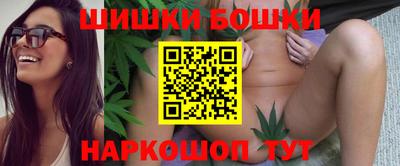шишки Аргун