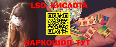 шишки Аргун