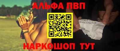 шишки Аргун