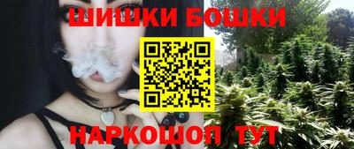 шишки Аргун