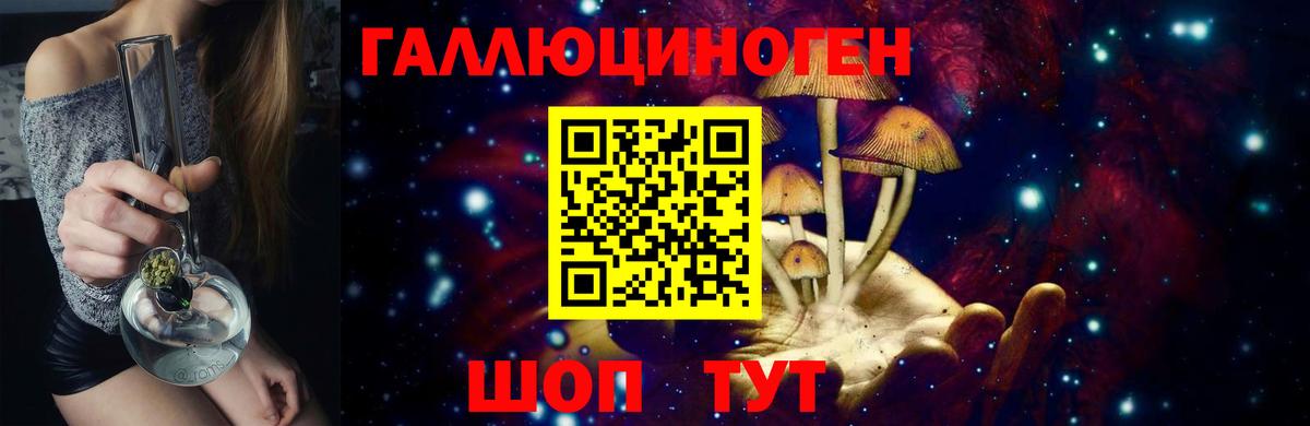 Берёзовский  Галлюциногенные грибы Psilocybine cubensis  Вход с VPN 